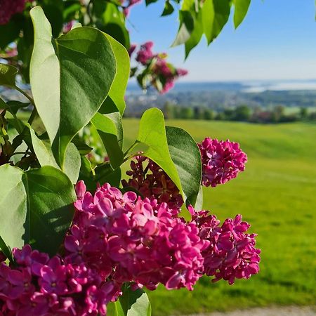Vila Schleipfnerhof Urlaub Auf Dem Bauernhof Bernau am Chiemsee Exteriér fotografie
